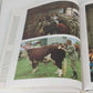 Irish Traditions Kathleen Jo Ryan Bernard Share Hardcover Abradale Press