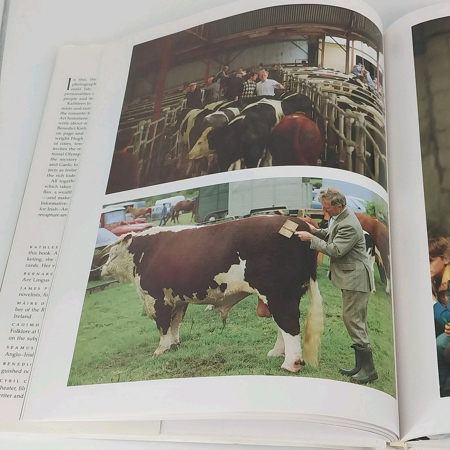 Irish Traditions Kathleen Jo Ryan Bernard Share Hardcover Abradale Press