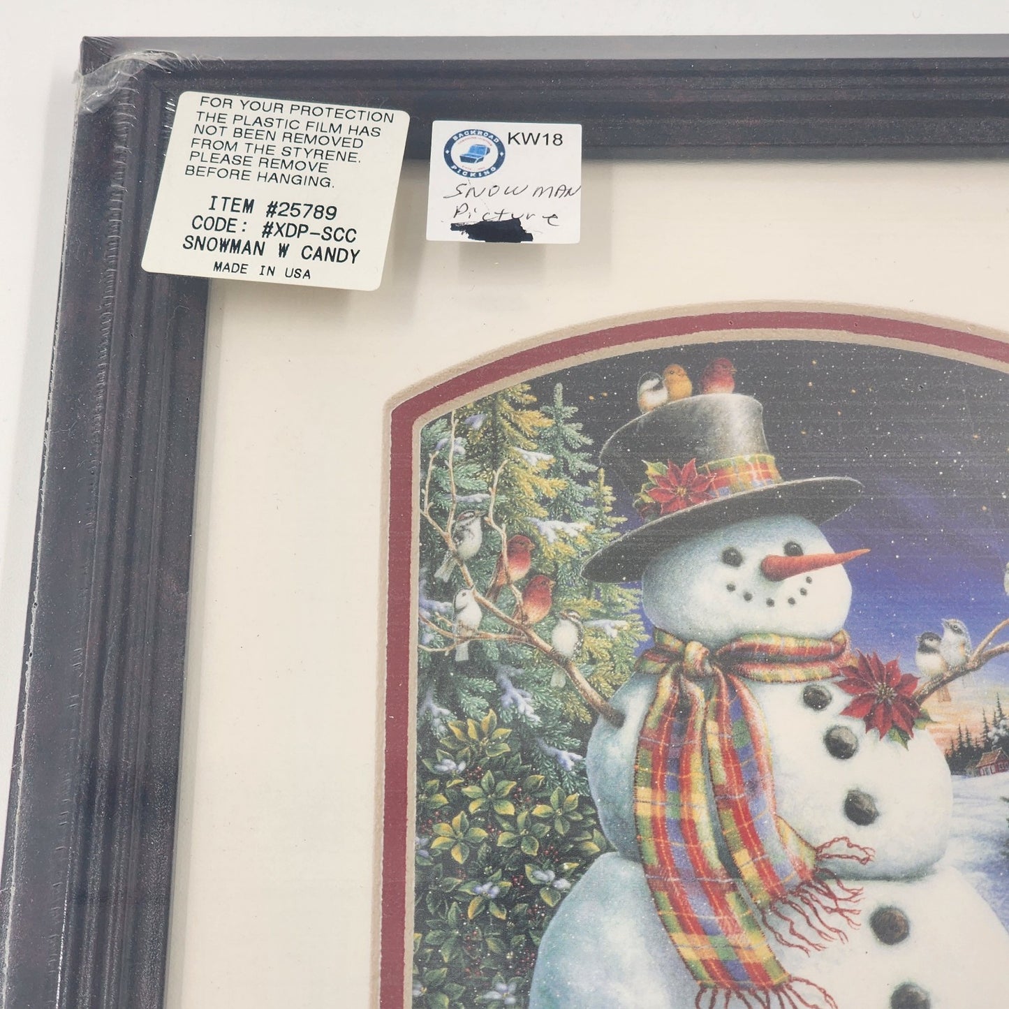 Feathered Friends Snowman Birds Framed Art 8x10 Sealed Matted Dark Wood Frame US