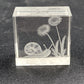 Reverse Etched Glass Paperweight Snail & Flower Design Clear Cube Collectible