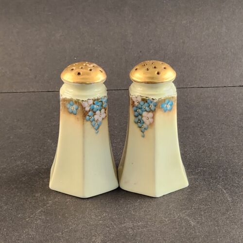 White and Gold Royal Austria Salt and Pepper Shakers With Floral Pattern Vintage