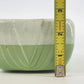 Majolica Rectangular Planter Green & Cream Embossed Leaf Design Two Tone 6.5"