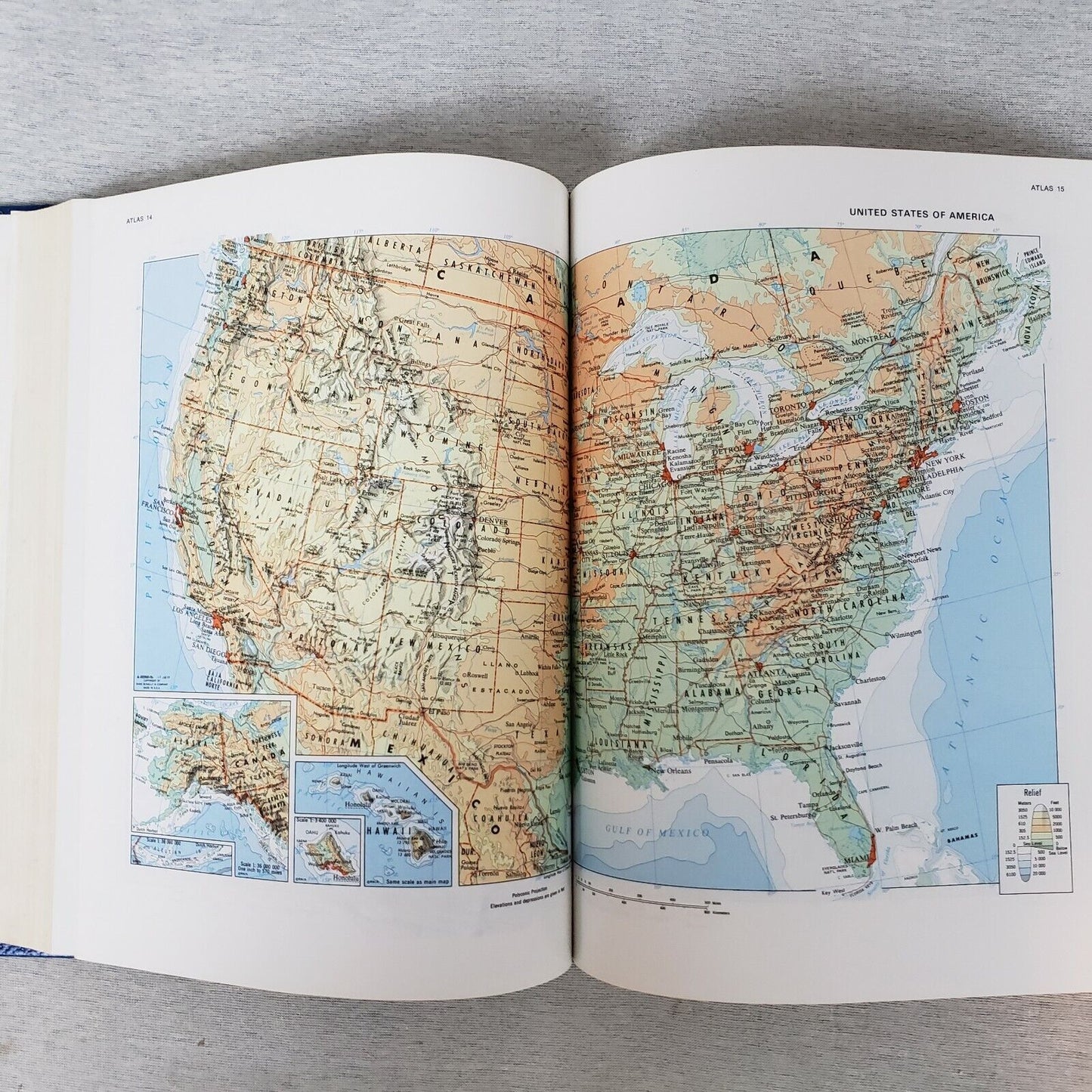 Websters New World Dictionary 1981 Student Handbook Edition
