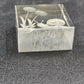 Reverse Etched Glass Paperweight Snail & Flower Design Clear Cube Collectible