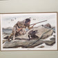 John A. Ruthven SHA-WNEE Signed Limited Edition Framed Lithograph Wildlife Art