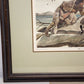 John A. Ruthven SHA-WNEE Signed Limited Edition Framed Lithograph Wildlife Art