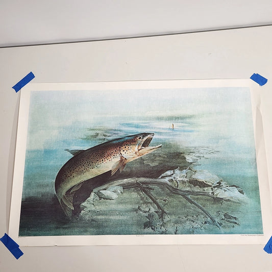 Art by Chappell Brown Trout Fishing Print Rolled Wall Décor Lure Vintage