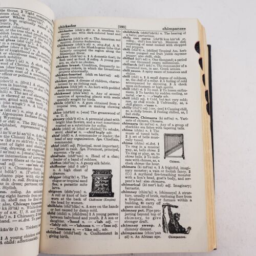 Webster’s New American Dictionary 1967 Thumb Indexed Book