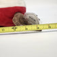 Ty Jingle Beanies Holiday Teddy Green Bear Christmas Reindeer Plush Shell 2002
