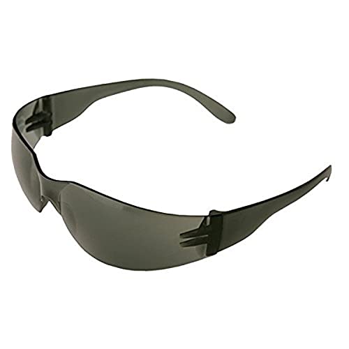 ERB 17941 iProtect Safety Glasses, Smoke Frame with Smoke Lens