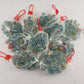 New Cat's Eye Glass Marbles 200 16mm & 10 Shooters 22mm Set Taiwan Vintage Toy