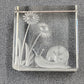 Reverse Etched Glass Paperweight Snail & Flower Design Clear Cube Collectible