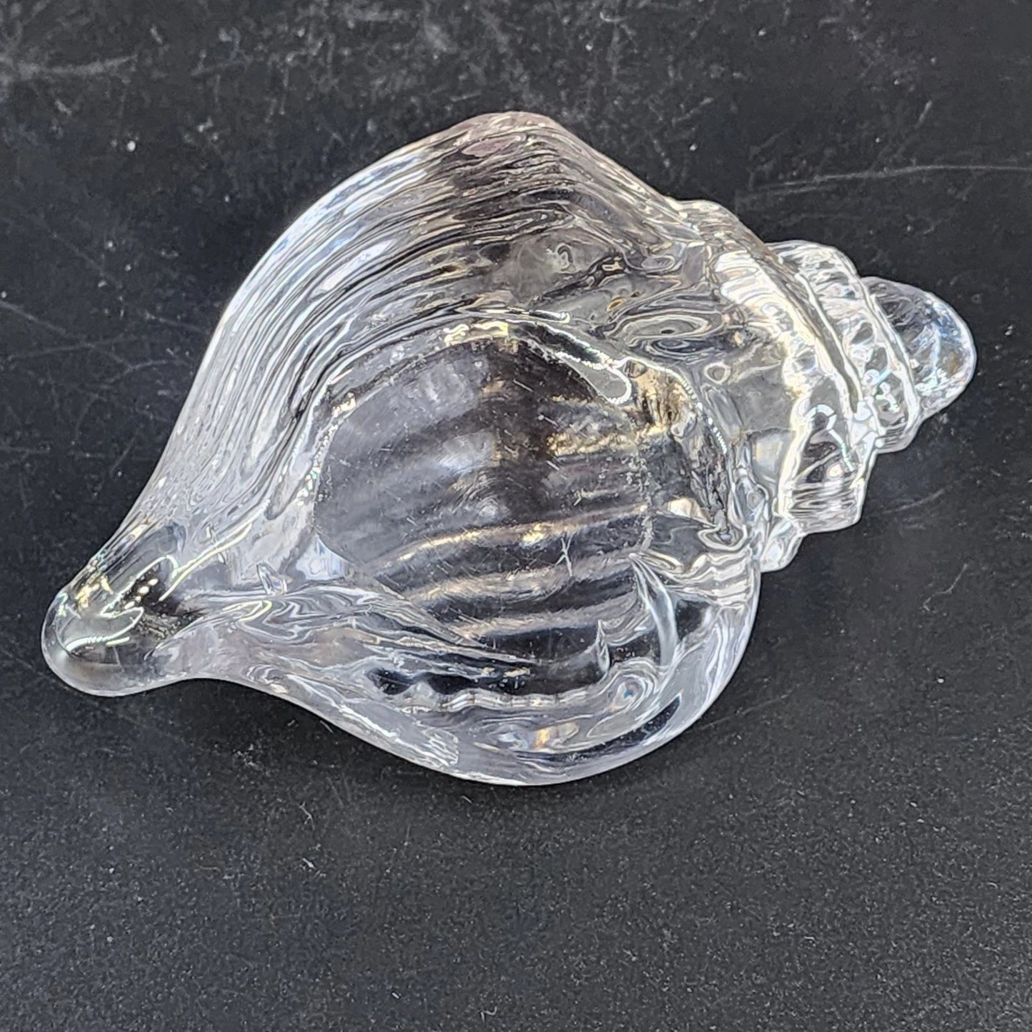 Clear Art Glass Conch Shell Paperweight Hand Blown Nautical Murano Style Decor