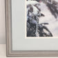 Russell Cobane Nature's Jewel Cardinal in Snow Art Print Framed 20" x 24" Signed