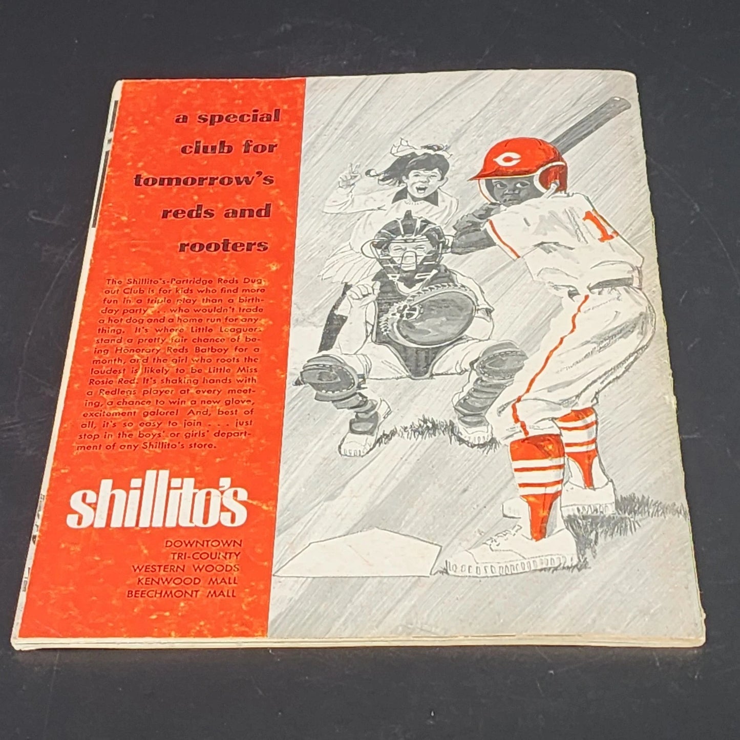 Cincinnati Reds 1970 Yearbook Johnny Bench MLB Vintage Magazine