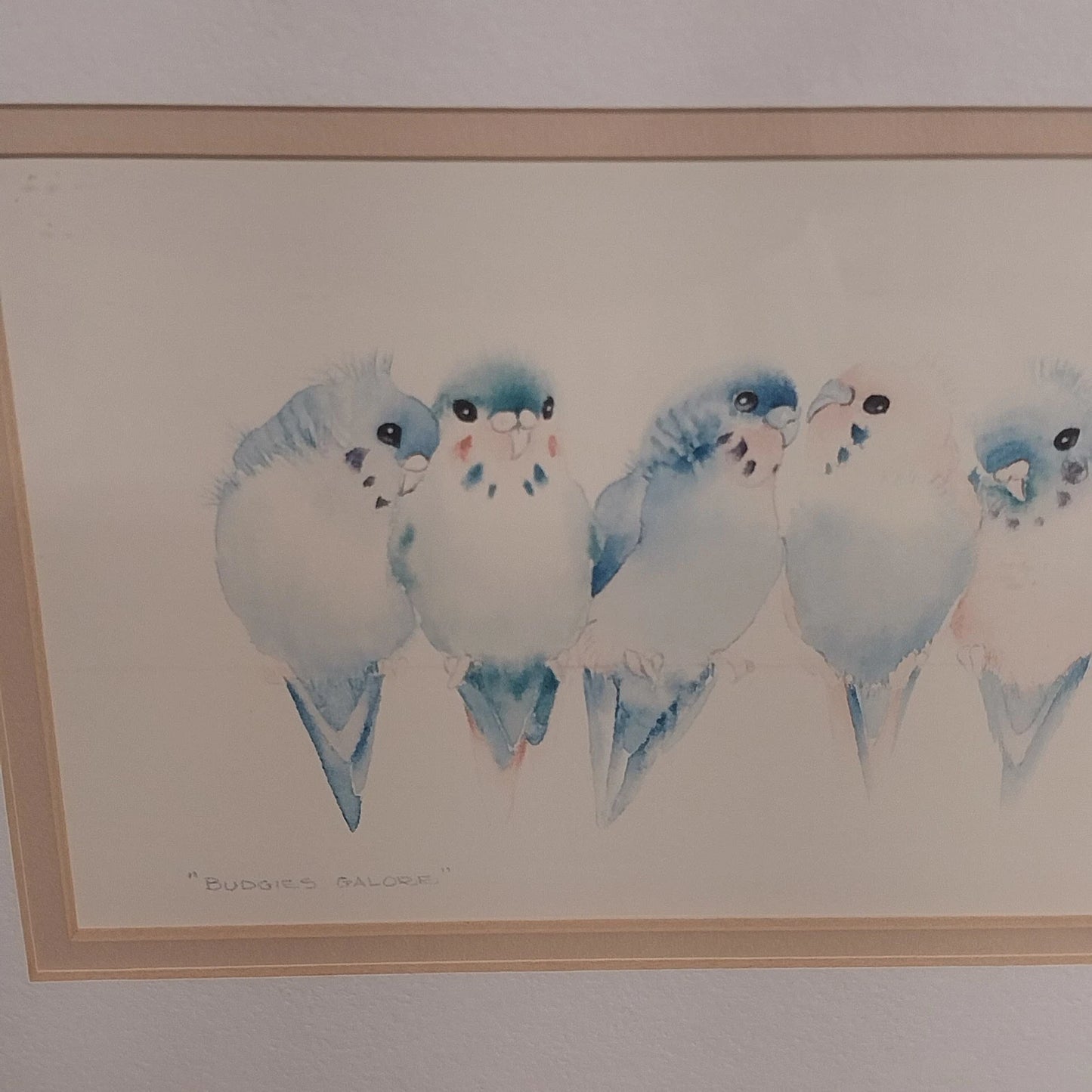 Valerie Pfeiffer Budgies Galore Framed Art Print Bird Watercolor