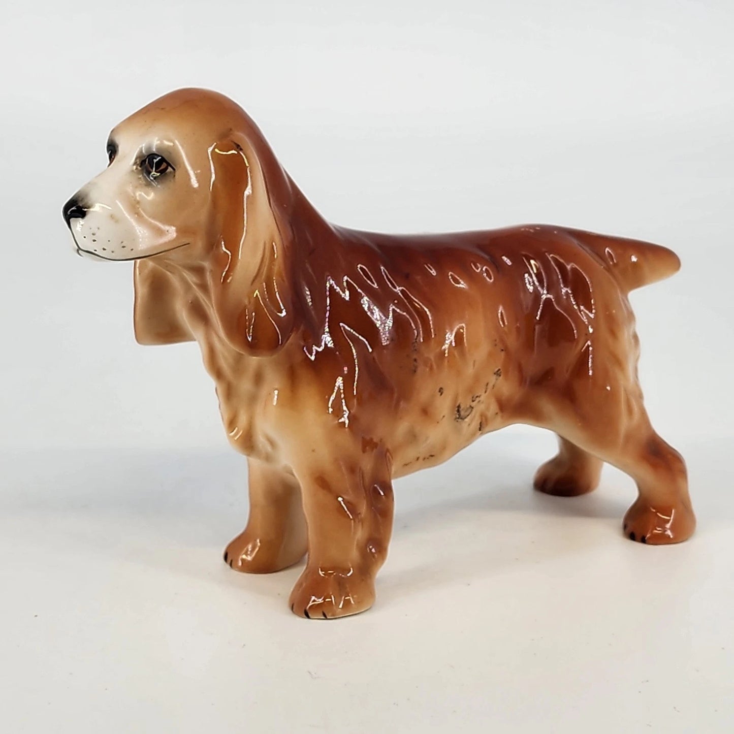 Adderley Bone China Cocker Spaniel Dog Figurine 6" Glossy Glazed England 1950's