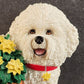 Bichon Frise Refrigerator Magnet Yellow Flowers Dog Figurine Willabee Ward MBI