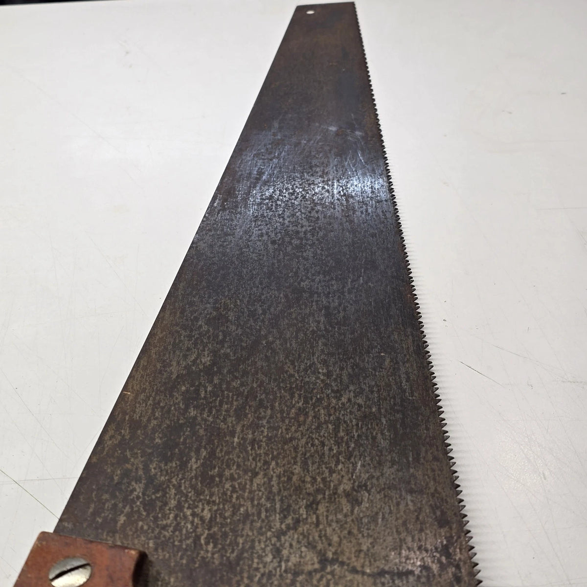 Warranted Superior 26" Crosscut Hand Saw Eagle Medallion Wood Handle Vintage