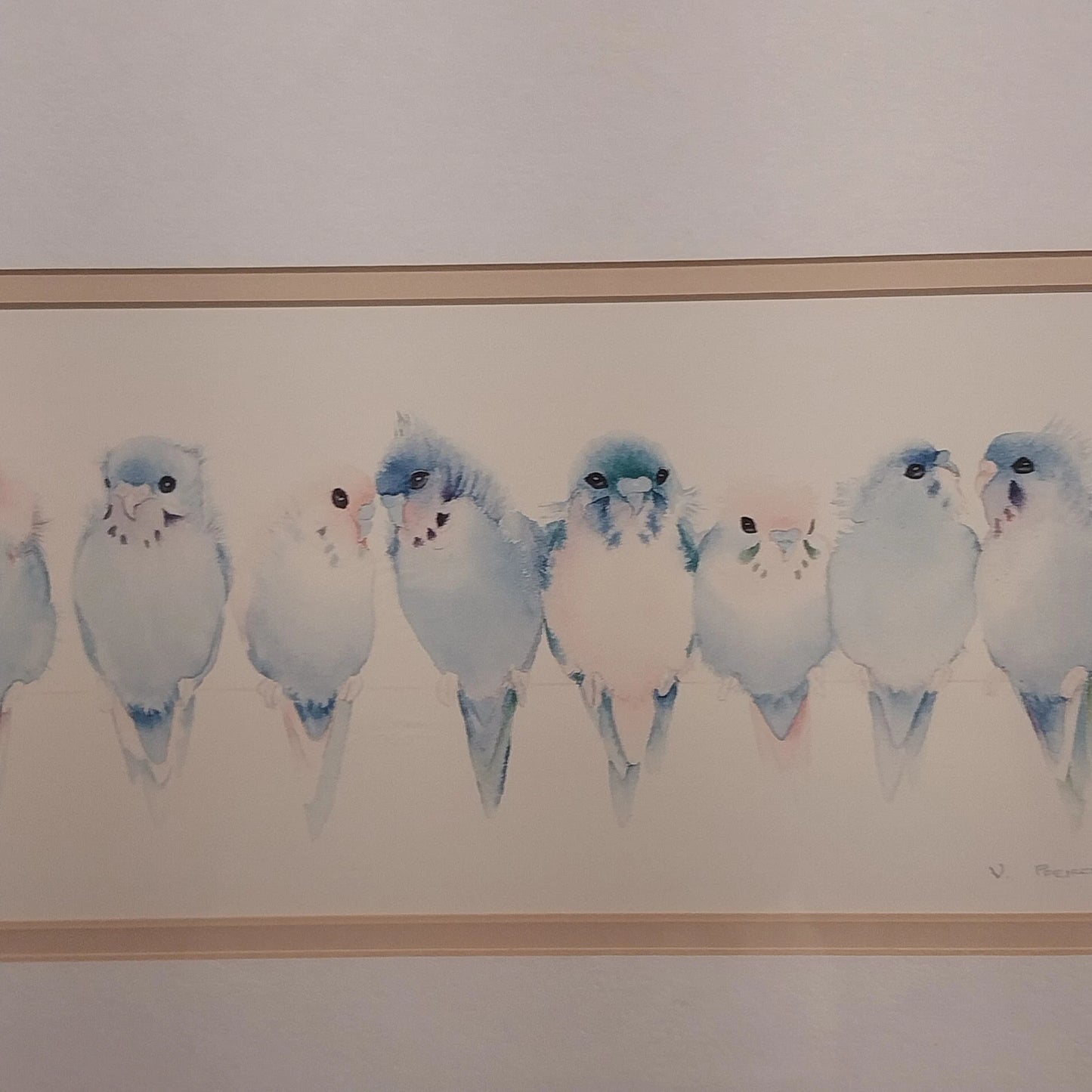 Valerie Pfeiffer Budgies Galore Framed Art Print Bird Watercolor