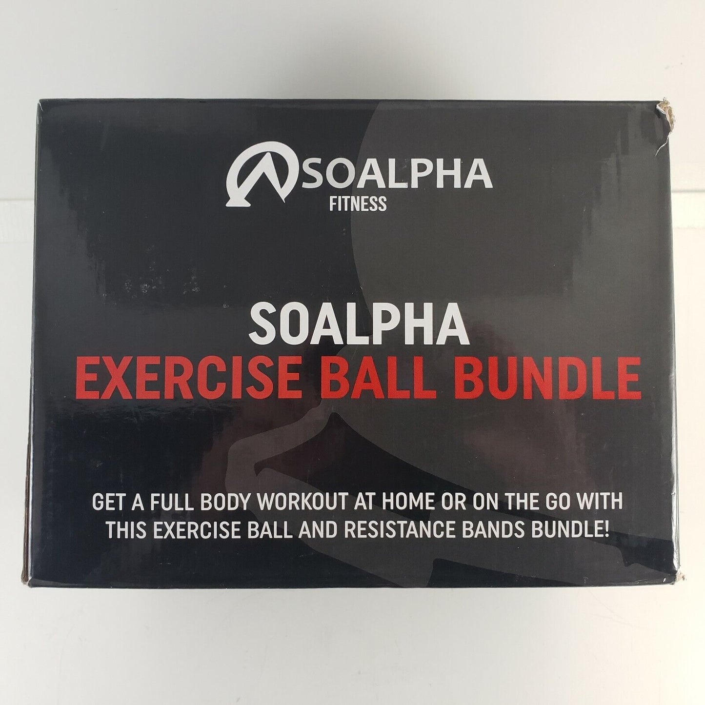 SoAlpha Premium Excercise Kit Pump Inflatable Ball & Base 15 LB Resistance Bands