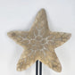 Wooden Starfish Wall Hanger 2 Hook Coastal Nautical Beach Decor