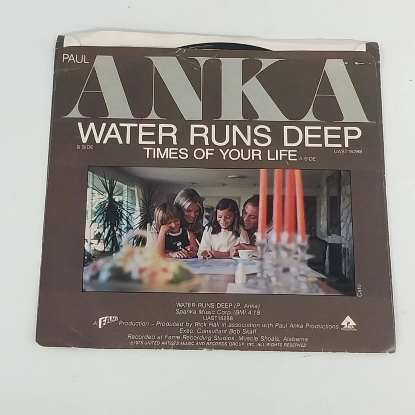 Paul Anka Water Runs Deep 45 RPM Vinyl Picture Sleeve UA