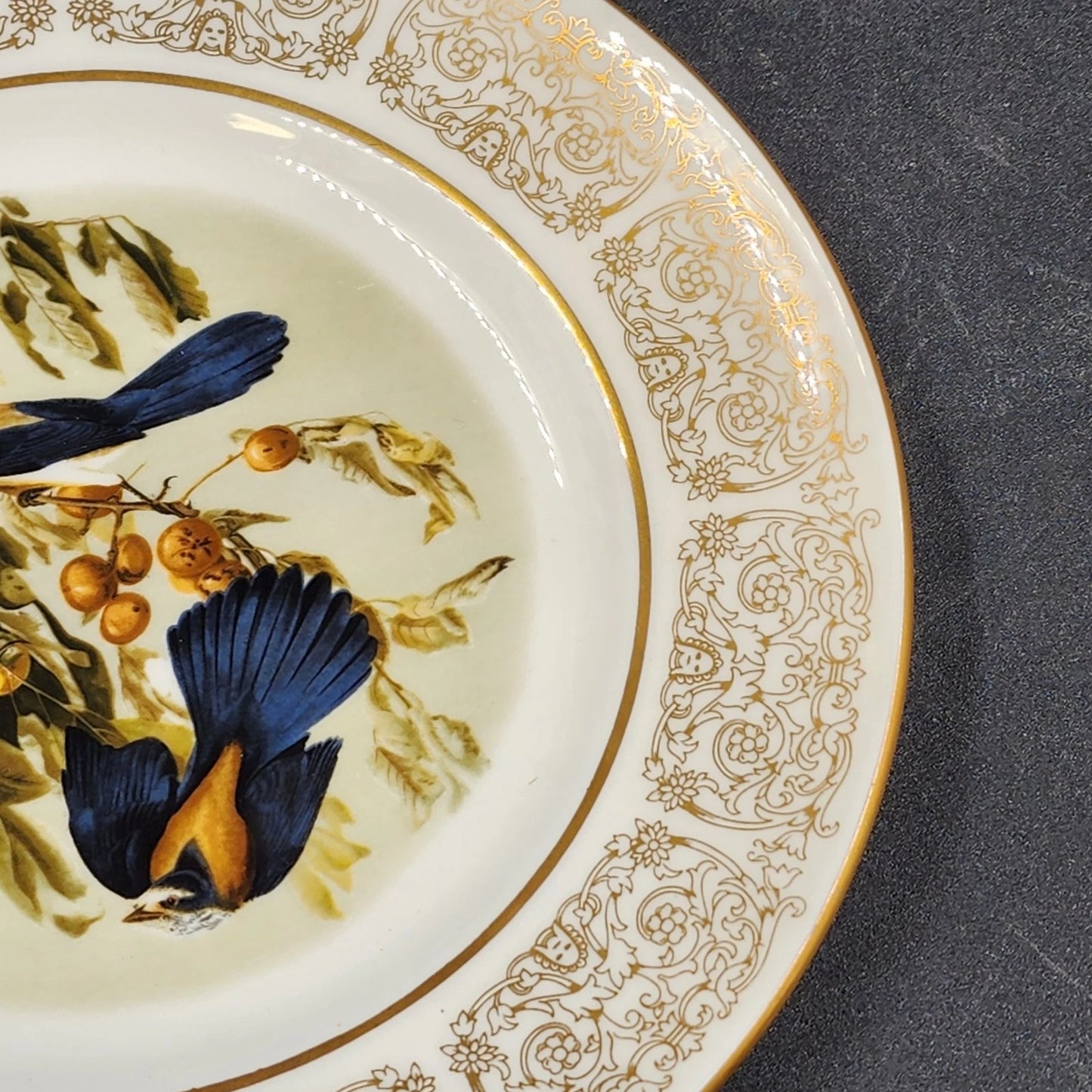 Wittnauer Collectors' Guild Plate LBE90 Scrub Jays Audubon Bone China 8.25" 1820