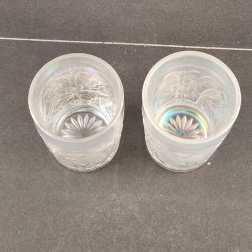 2 Imperial Robin Bird Tumblers Icy White Iridescent Carnival Glass Embossed 8 oz