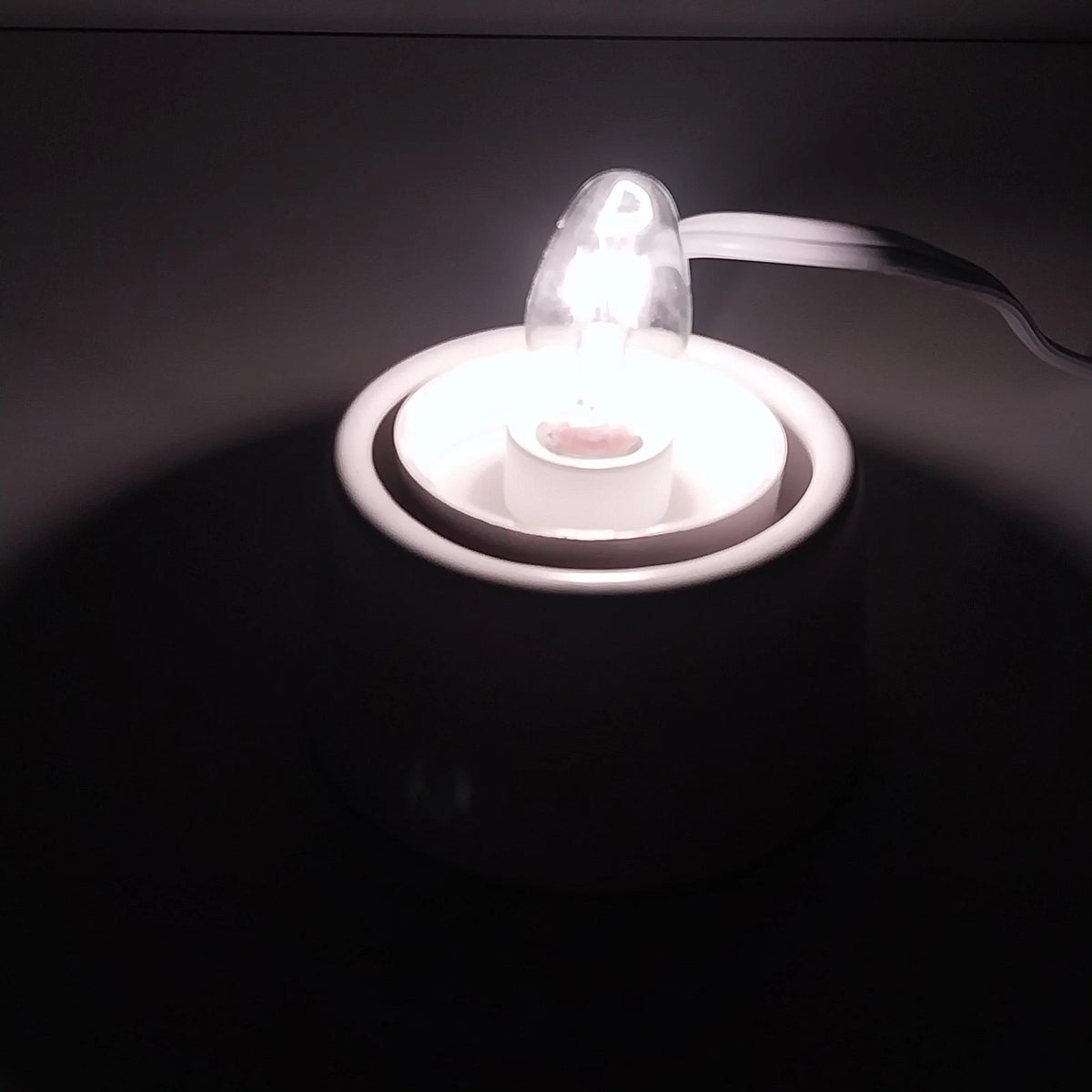 Scentsy Tabletop Base for Glass Mini Warmer 39447 White 15W Boxed New in Box
