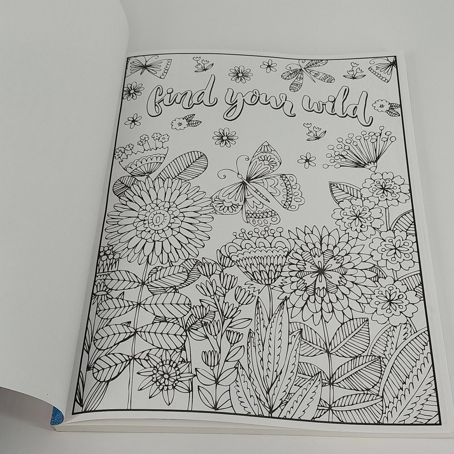 Timeless Creations Beautiful Butterflies Coloring Book 2016 Paperback 64 Pages