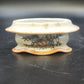 Porcelain Gravy Boat w Underplate 4.5" Floral Cream Orange Gold Trim Japan
