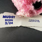 Amazing Squishee Plushies Pig “Mudsy” MB Wolverine Corp Polyester NWT China