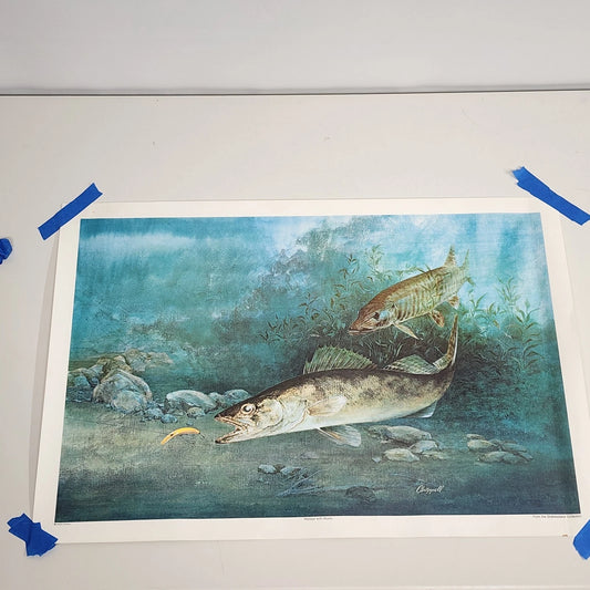 Art by Chappell Walleye with Musky Fishing Print Rolled Wall Décor Lure Vintage
