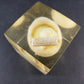 Lucite Paperweight Souvenir Florida Chick Egg Vintage Acrylic DaisyGlas 1970's