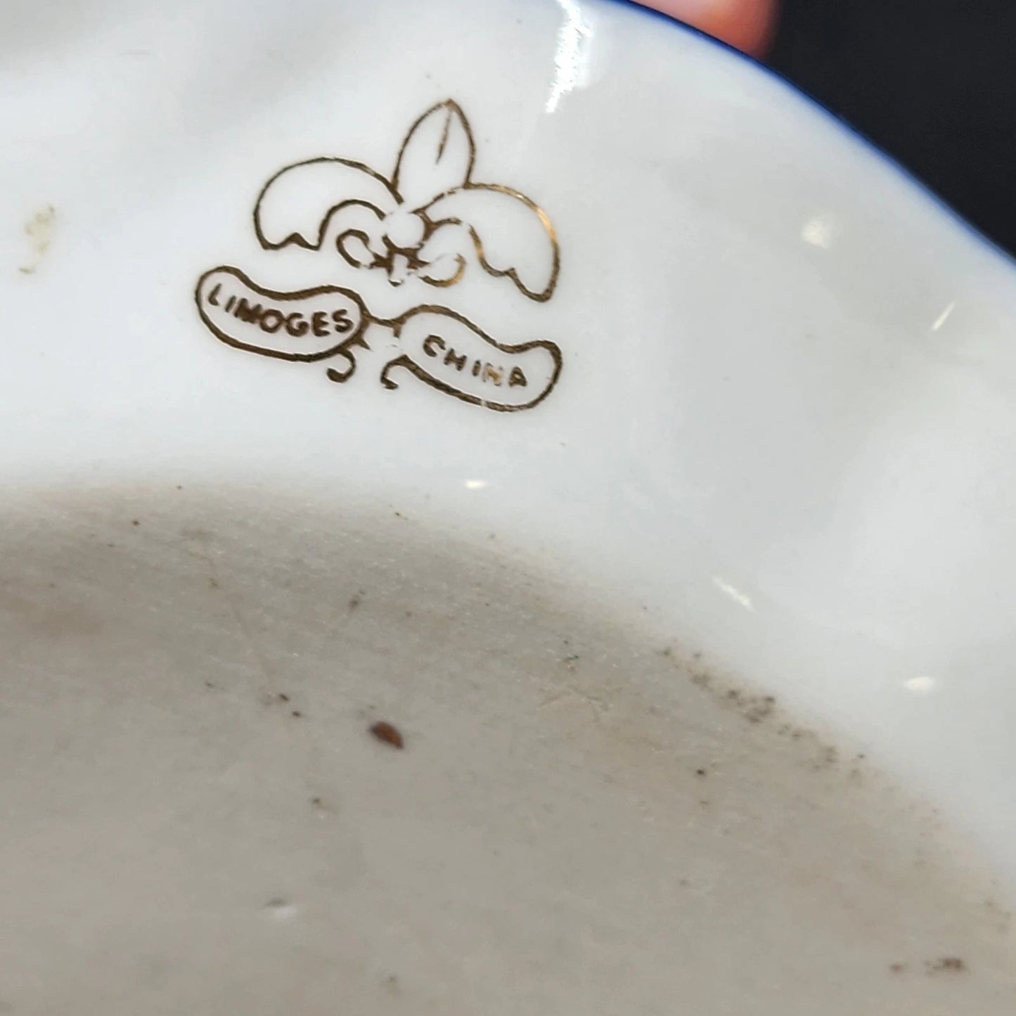 Limoges Hat Pin Holder Victorian Style Porcelain Hand Painted Floral 5"