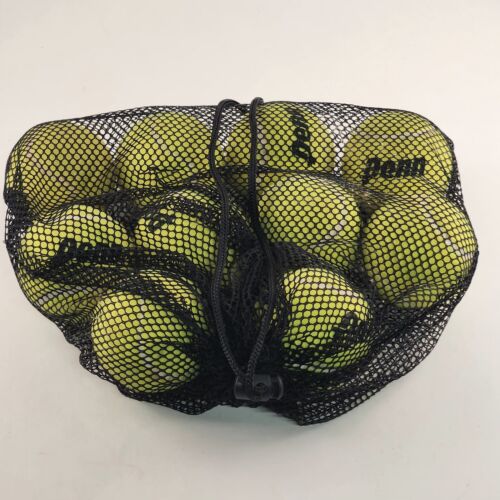 10 Used Penn Tennis Balls with Black Mesh Ball Bag For Practice or Other Uses