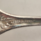 1904 Holly Big Berry Fruit Serving Spoon National Silver Mark Stainless Tarnish