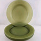 6 Pc Plastic Plates Outdoor Picnic Camping Dishes Green 9.75" Lunch Dinner