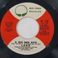 Lobo 45 RPM Vinyl Lot Soft Rock Singles Big Tree Records 1970s