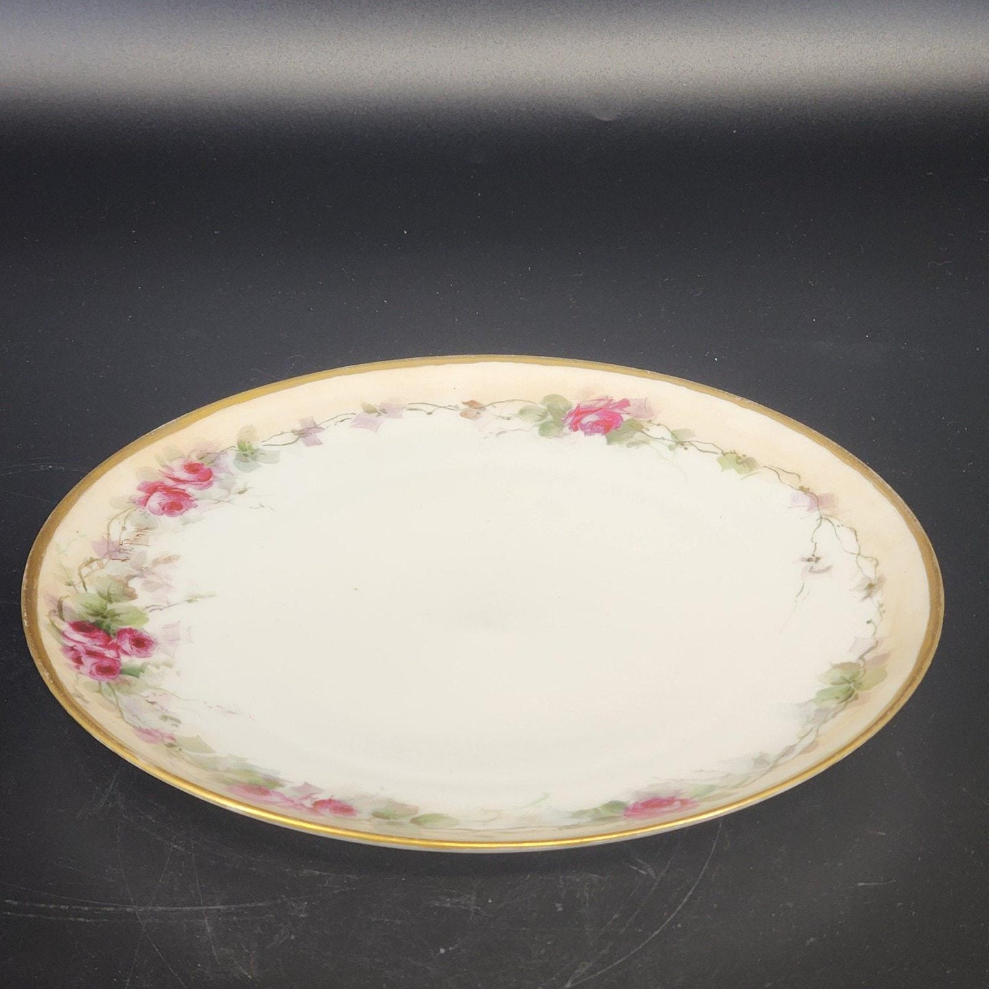 Haviland Limoges France Antique Hand Painted Rose Plate Heavy Gold Rim 9.25"x1"