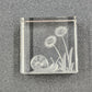 Reverse Etched Glass Paperweight Snail & Flower Design Clear Cube Collectible