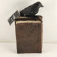 Book Figurine Martha Stewart Halloween Décor Raven Spells Potions Brews NWT