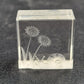 Reverse Etched Glass Paperweight Snail & Flower Design Clear Cube Collectible