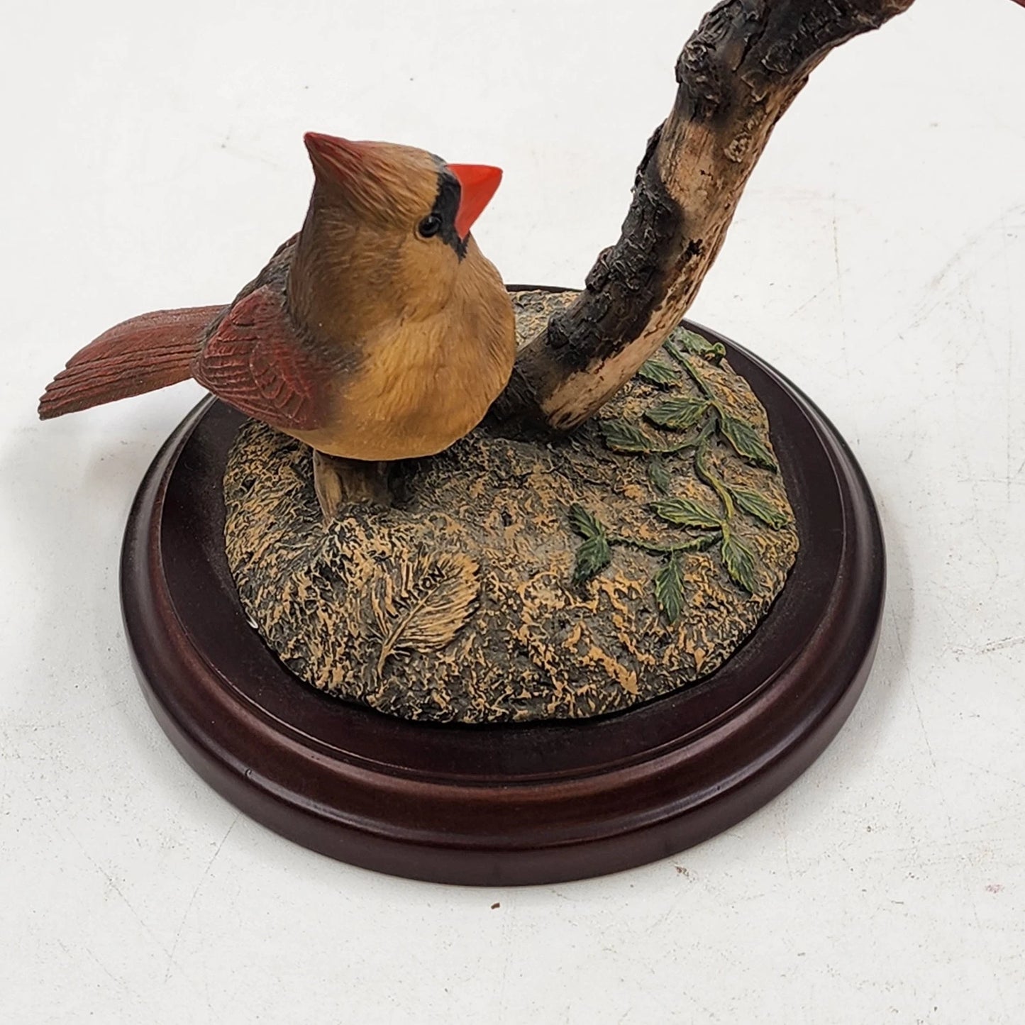 Backyard Brilliance Northern Cardinals Audubon Coll by Richard Lawson Numbered