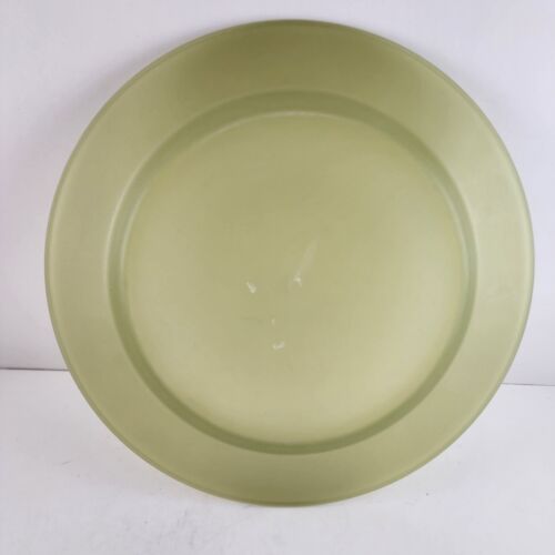 6 Pc Plastic Plates Outdoor Picnic Camping Dishes Green 9.75" Lunch Dinner