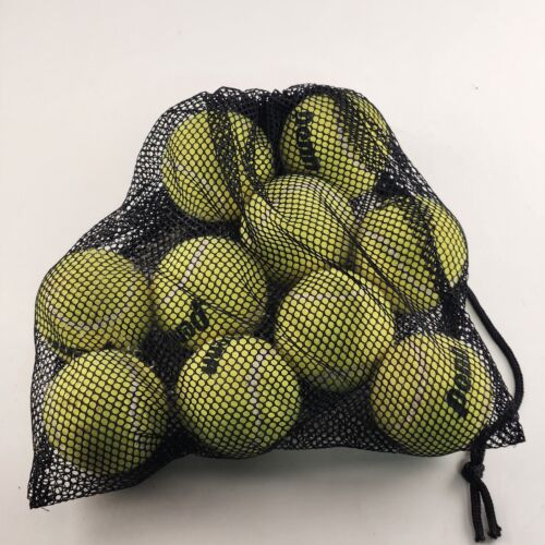10 Used Penn Tennis Balls with Black Mesh Ball Bag For Practice or Other Uses