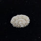 White Molded Celluloid Plastic Carved Style Brooch 1" Oval Flower Design