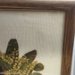 African Safari Animal Needlework Framed Under Glass Elephant Giraffe 18x18"