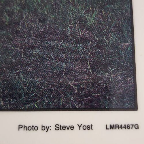 Roosevelt's Little White House Placemat Laminated Photo Vintage 17x12 Steve Yost